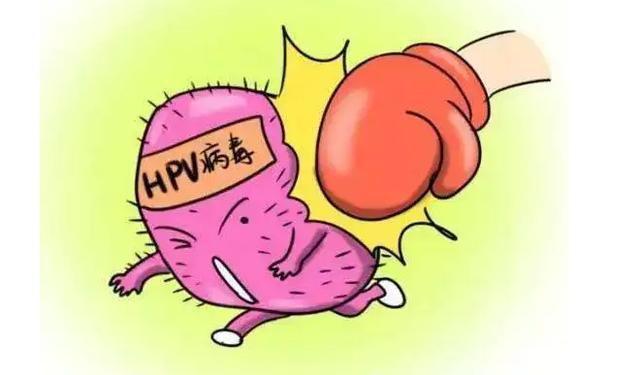 #健康真探社#【感染HPV后，怎么做才能转阴？】许多女性在被检测出人乳头瘤病毒（