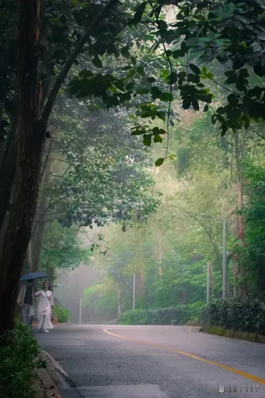 《七律    风与细雨之 幽悟》
风携细雨净无沙，洗尽铅华卸面纱。
恰效庄生迷蝶
