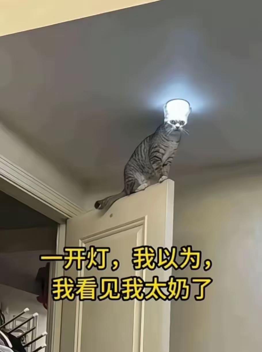 真的吓我一跳。
下来非把你给炖了……