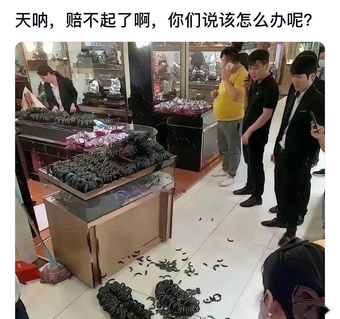 这是不是赔不起了啊，你们说该怎么办呢 