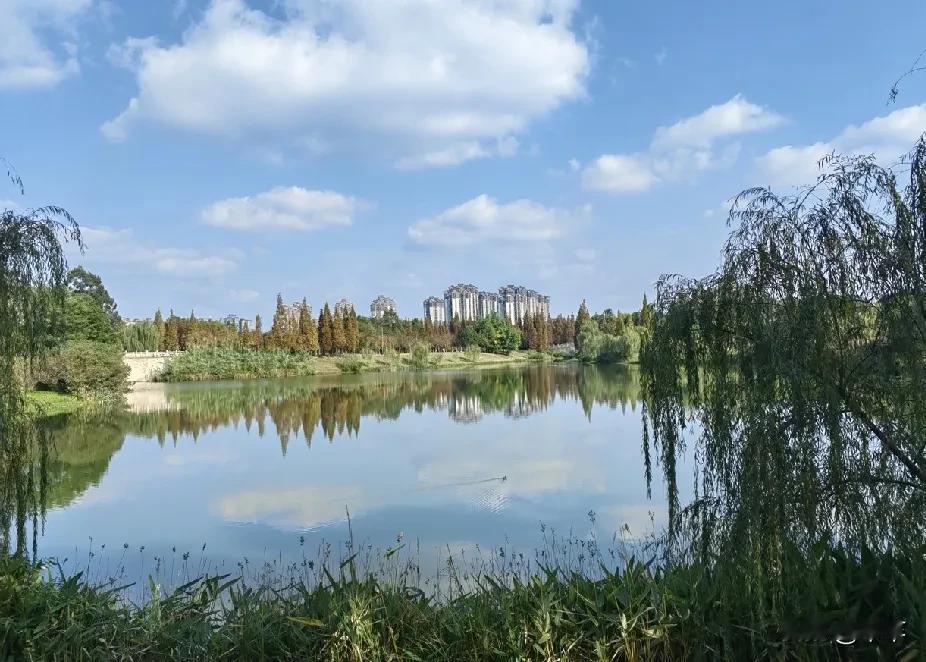 儿时的天空总是湛蓝如洗，白云悠悠。夏天雷雨过后会经常看到彩虹🌈。
    如今