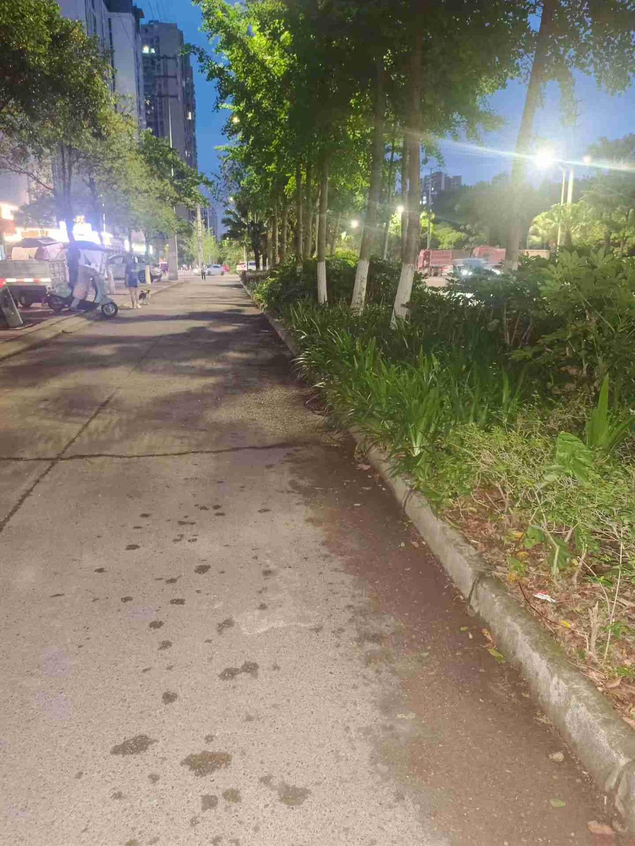 我的今日状态：😁轻松愉快
我这里的天气：☀️晴天