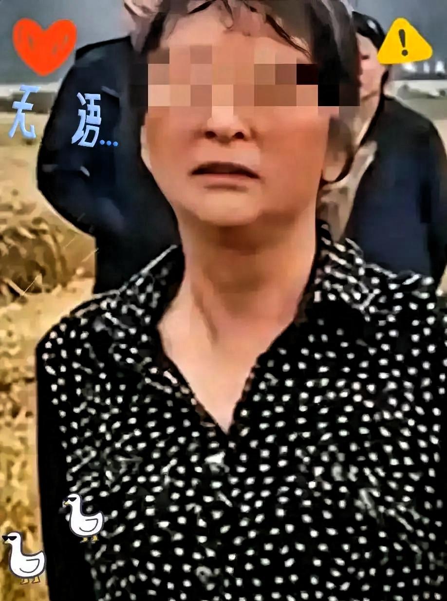 说真的，谁能想到当初闹得满城风雨的“割四赔五”大妈，现在竟成了本地收割机手心里的