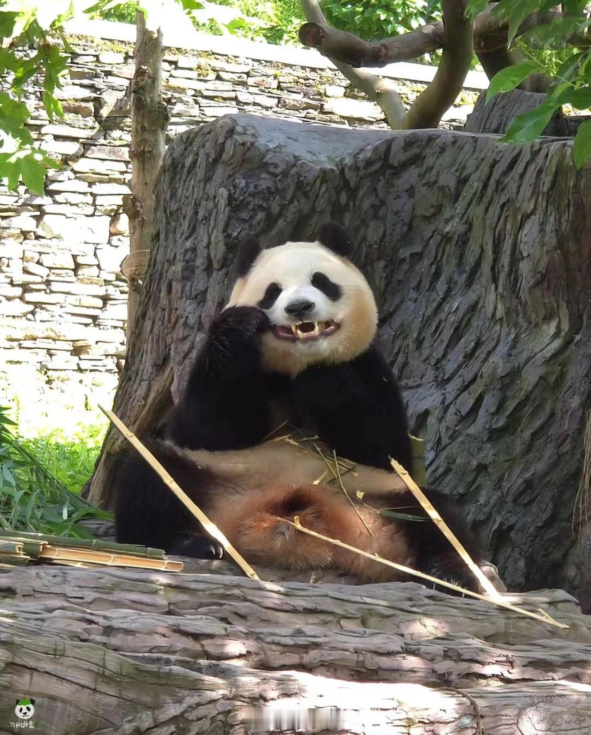 千面小福。 ​​​
