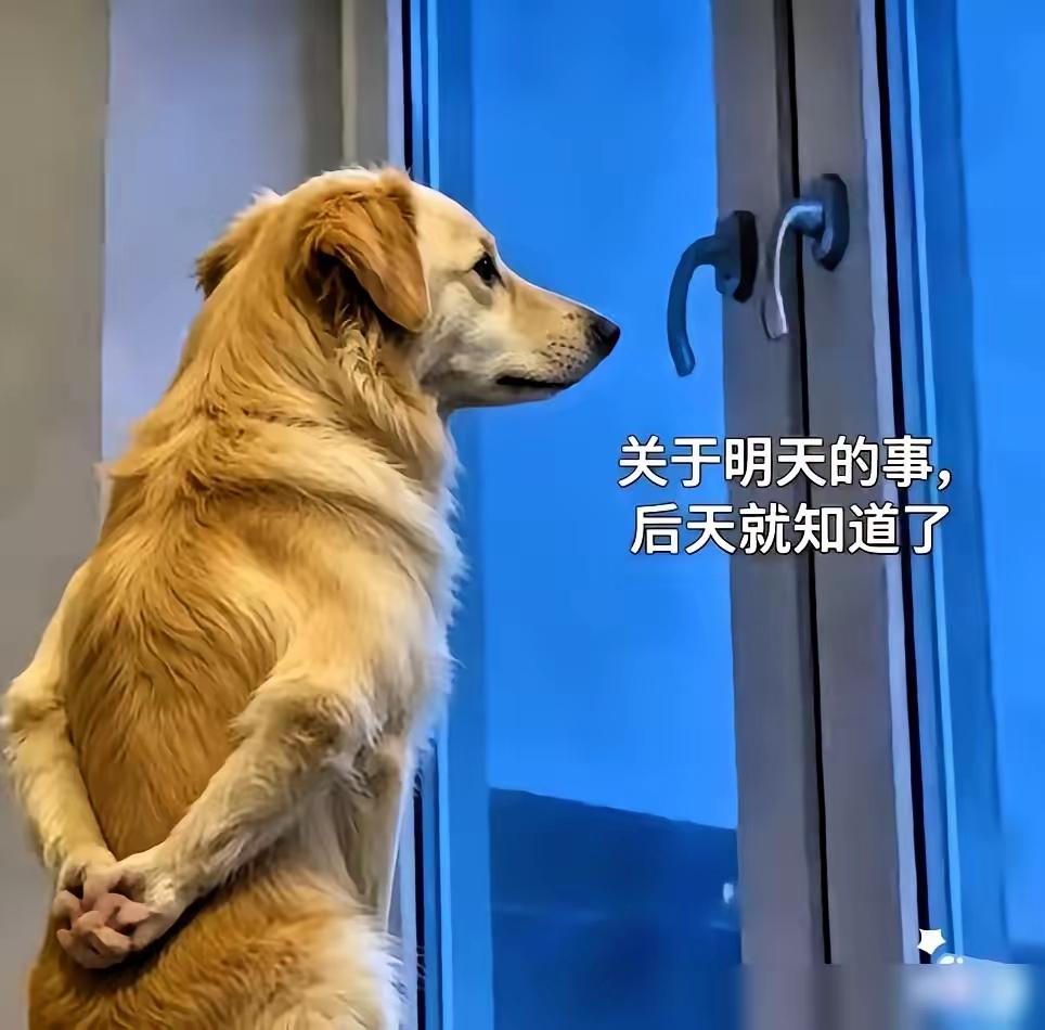 我严格保留原有结构，口语化优化、辩证加观点，精简压缩，控制在400字内。

工厂