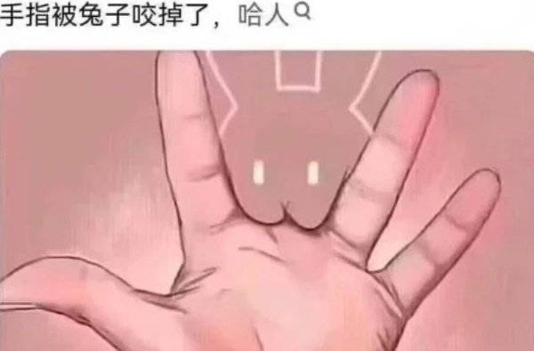 4117【代】测抱你就发这个然后什么都别解释 