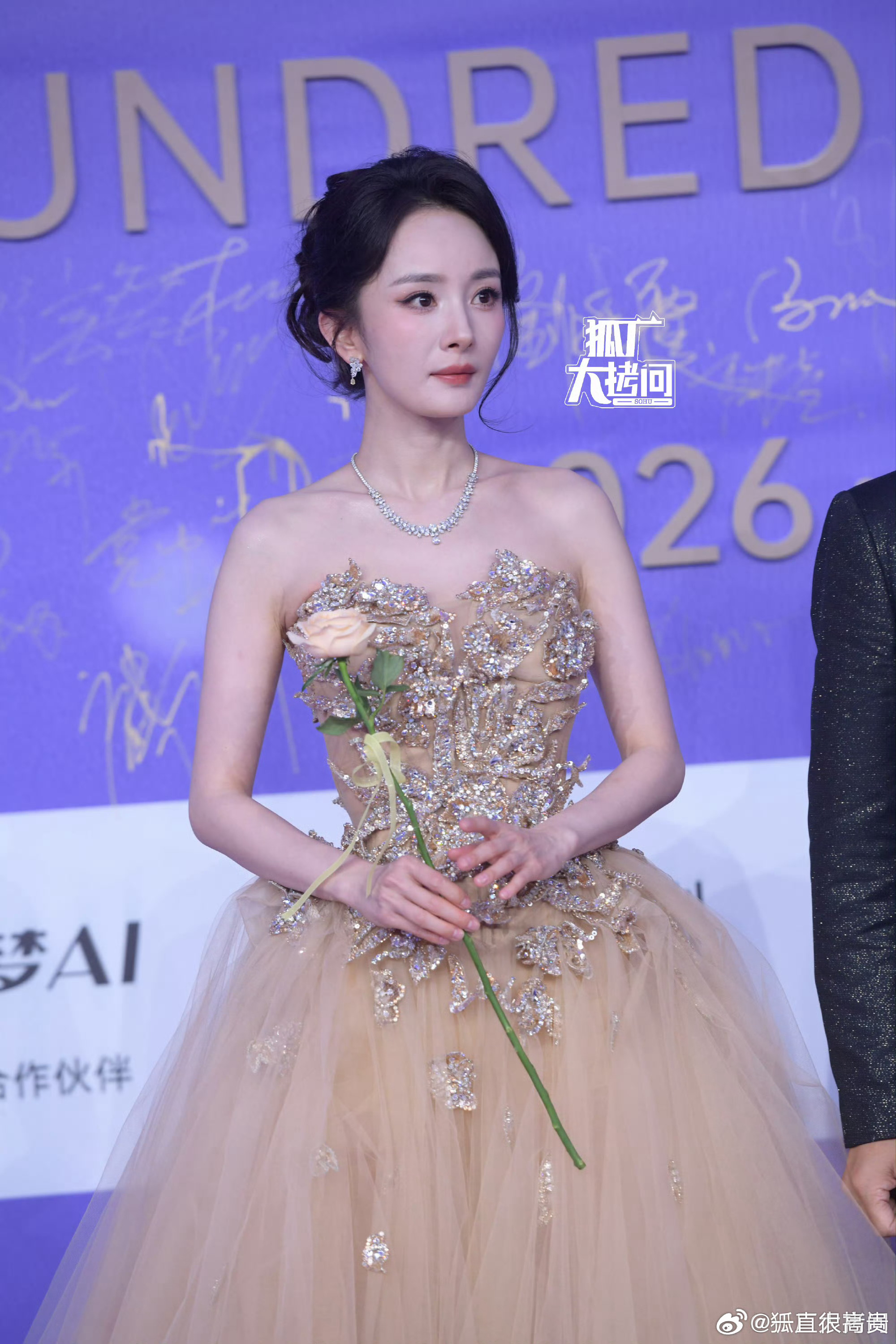 百花奖红毯杨幂百花奖红毯生图 