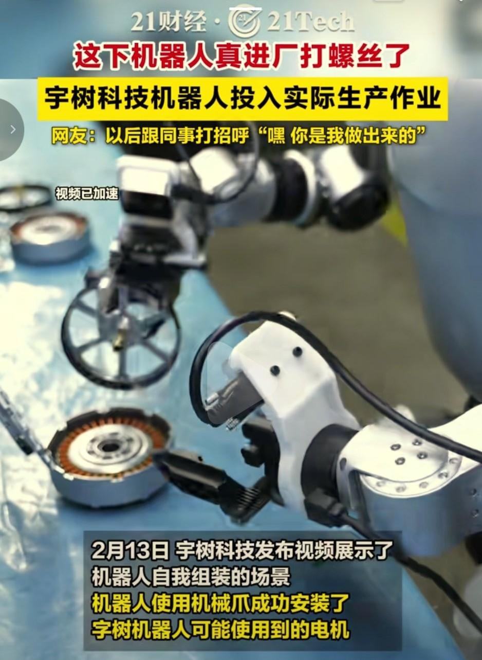 字树科技机器人进厂打螺丝，未来打螺丝都不需要人了吗？机器人宇树科技 宇树科技机器