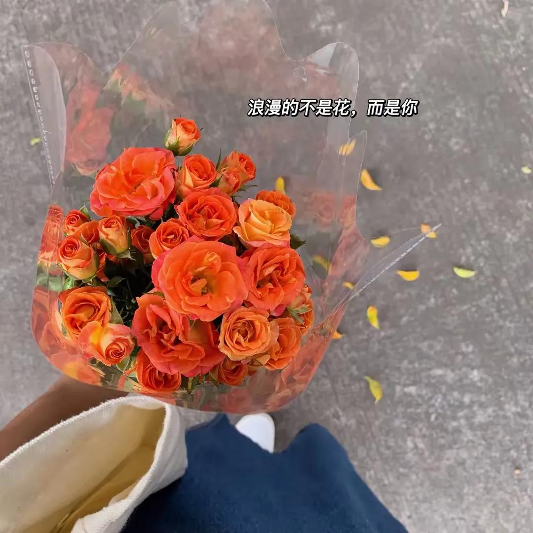 幸福，宛如静谧夜空中最璀璨的星辰，它并非是为了迎合他人目光而刻意雕琢的虚华表象，