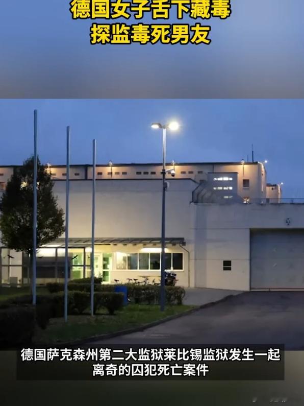 德国女子舌下藏毒探监毒死男友 国外探监还可以亲嘴？ 编剧都不敢这么编 世界都癫成