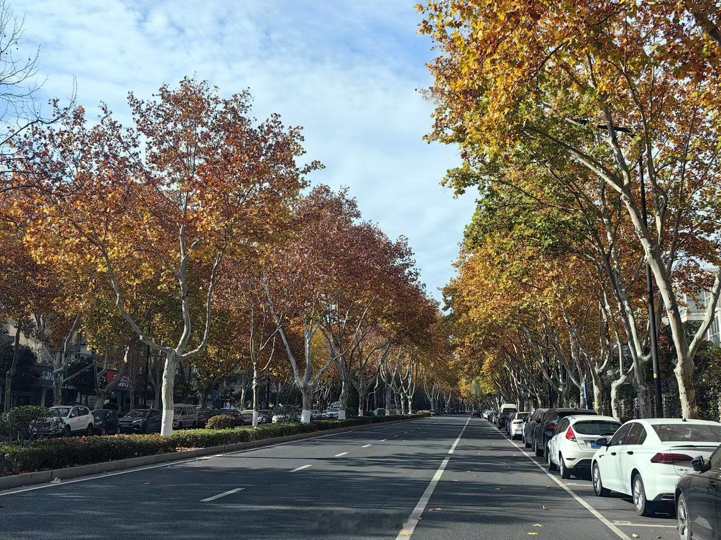 虽然天气变冷了但是看车在路上风景真不错我与汽车的日常