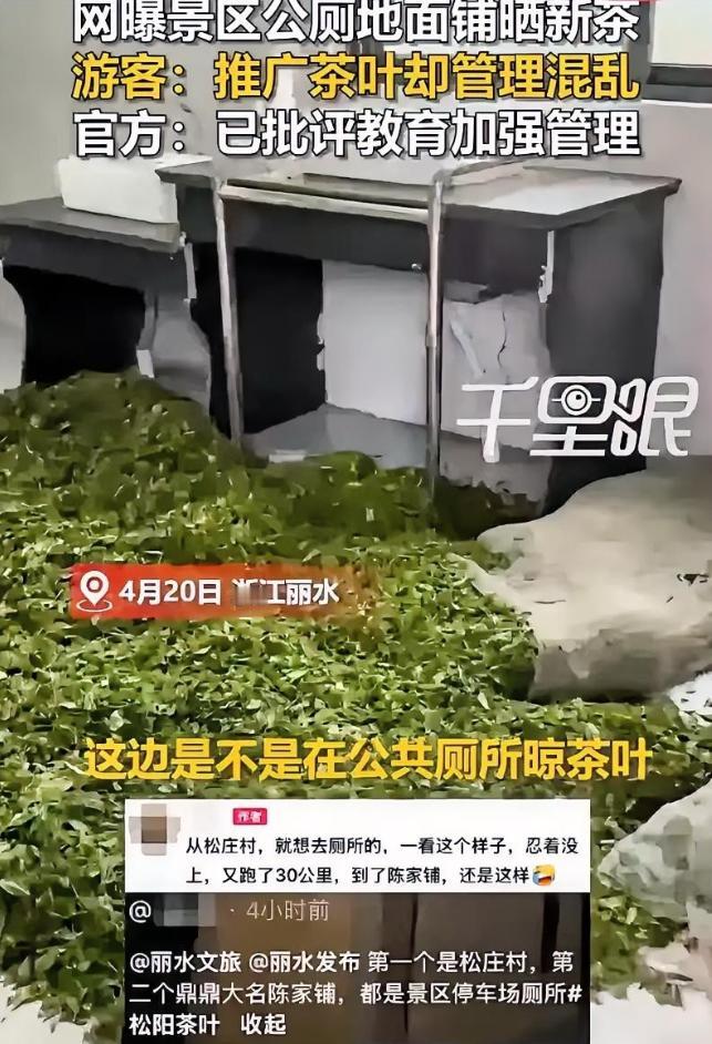 这下事情闹大了！浙江丽水，一女子去景区游玩，期间闹肚子想上厕所，结果推开公厕门傻