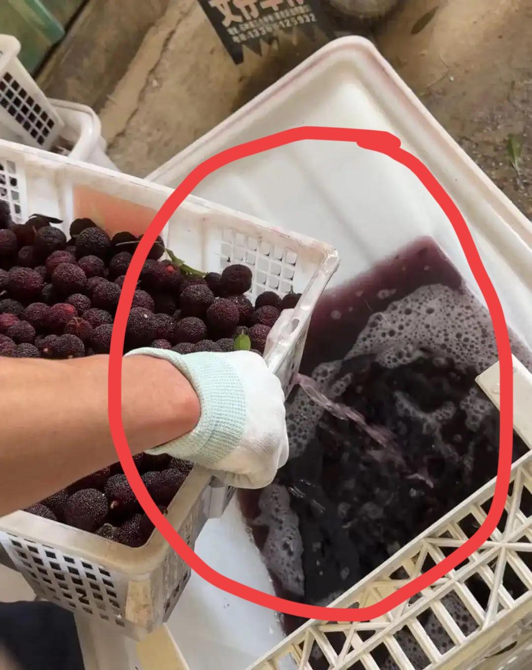 请问谁敢吃杨梅？
已经塌房坏口碑。
竟将杨梅泡药水，
脏心烂肺乱作为。
这下烂掉