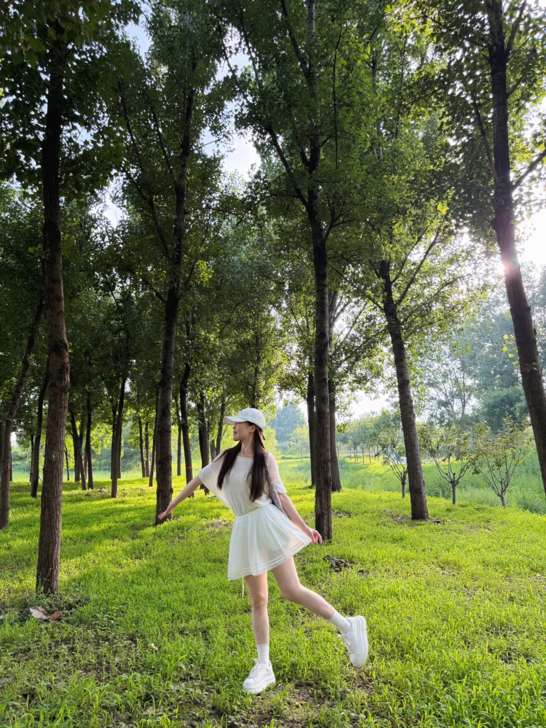 以夏之名🫧🍃