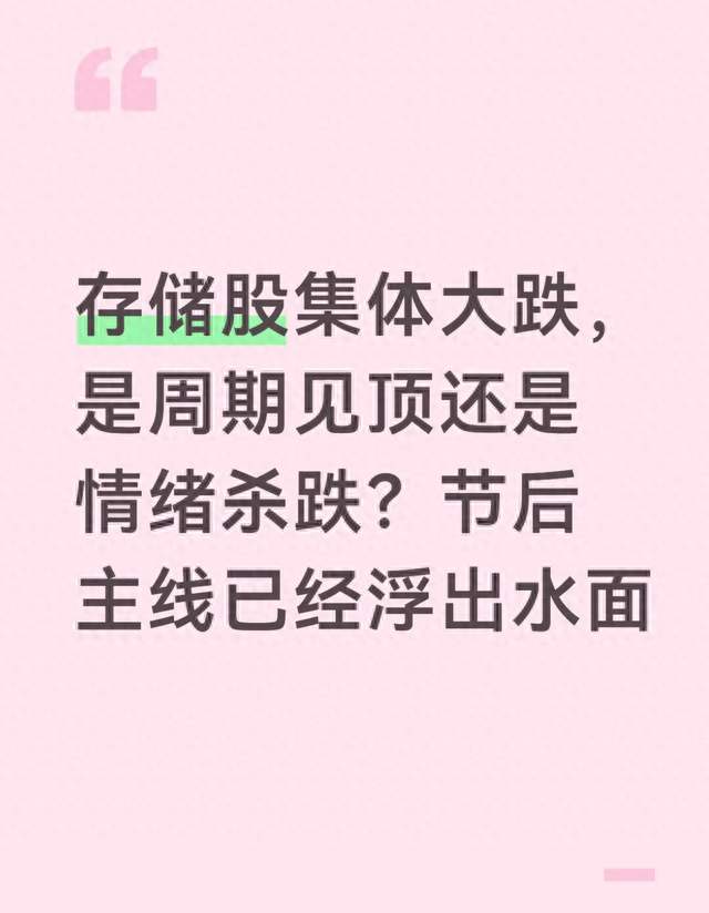 存储股集体大跌，是周期见顶还是情绪杀跌？节后主线已经浮出水面