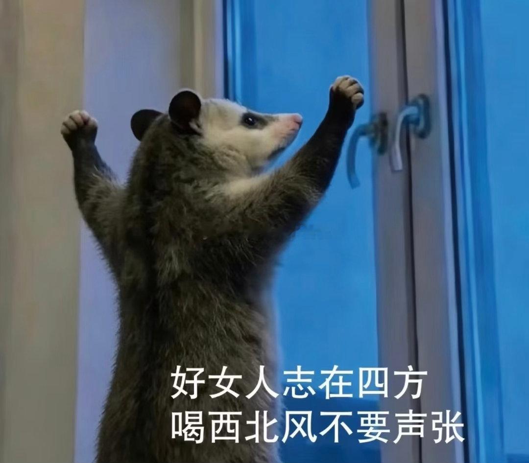 自律的顶端是孤独，孤独的顶端是自由。——尼采 