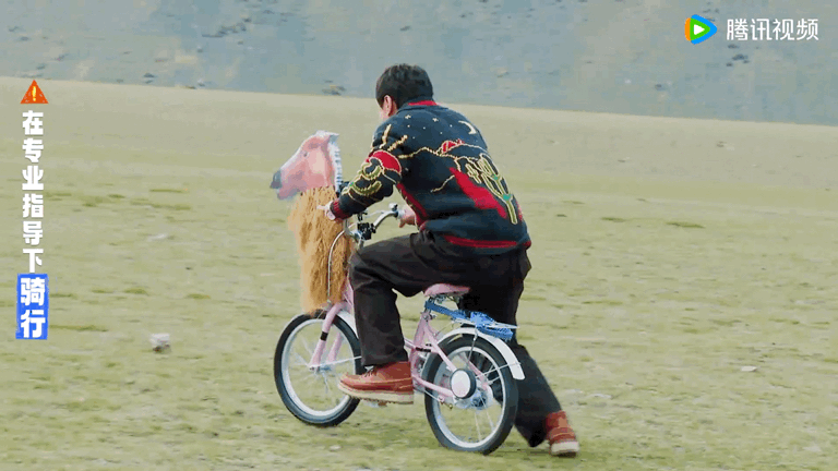 #哈妮克孜录完出发理想型还是沈腾吗#你永远都想象不到哈妮克孜会给你怎样的惊喜，而