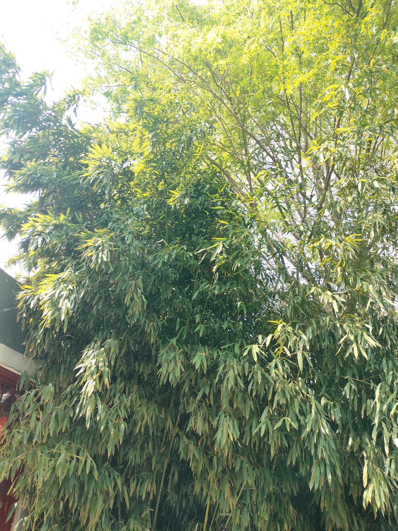 不能改变别人就改变自己，想法对吗这个想法非常正确。都说人管人急死人，人是最难管的