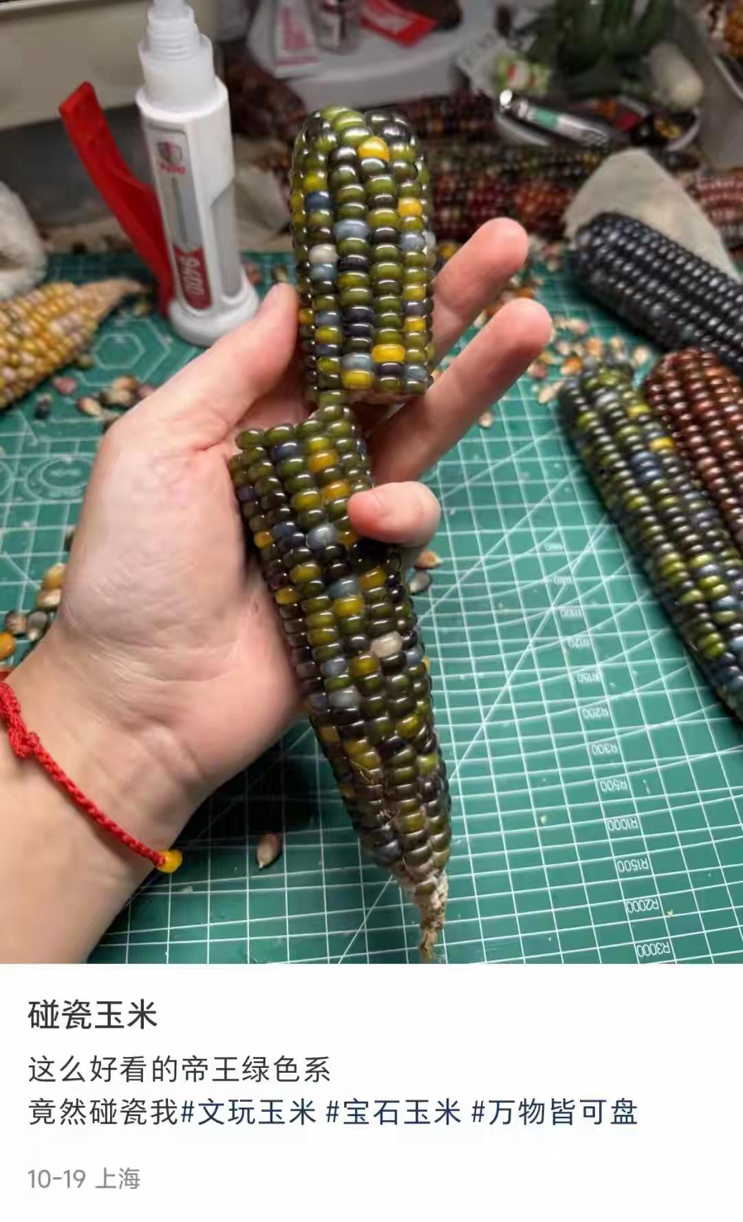 “盘玉米”火爆出圈！年轻人追捧的文玩玉米，是解压神器还是智商税？

五彩斑斓的玉