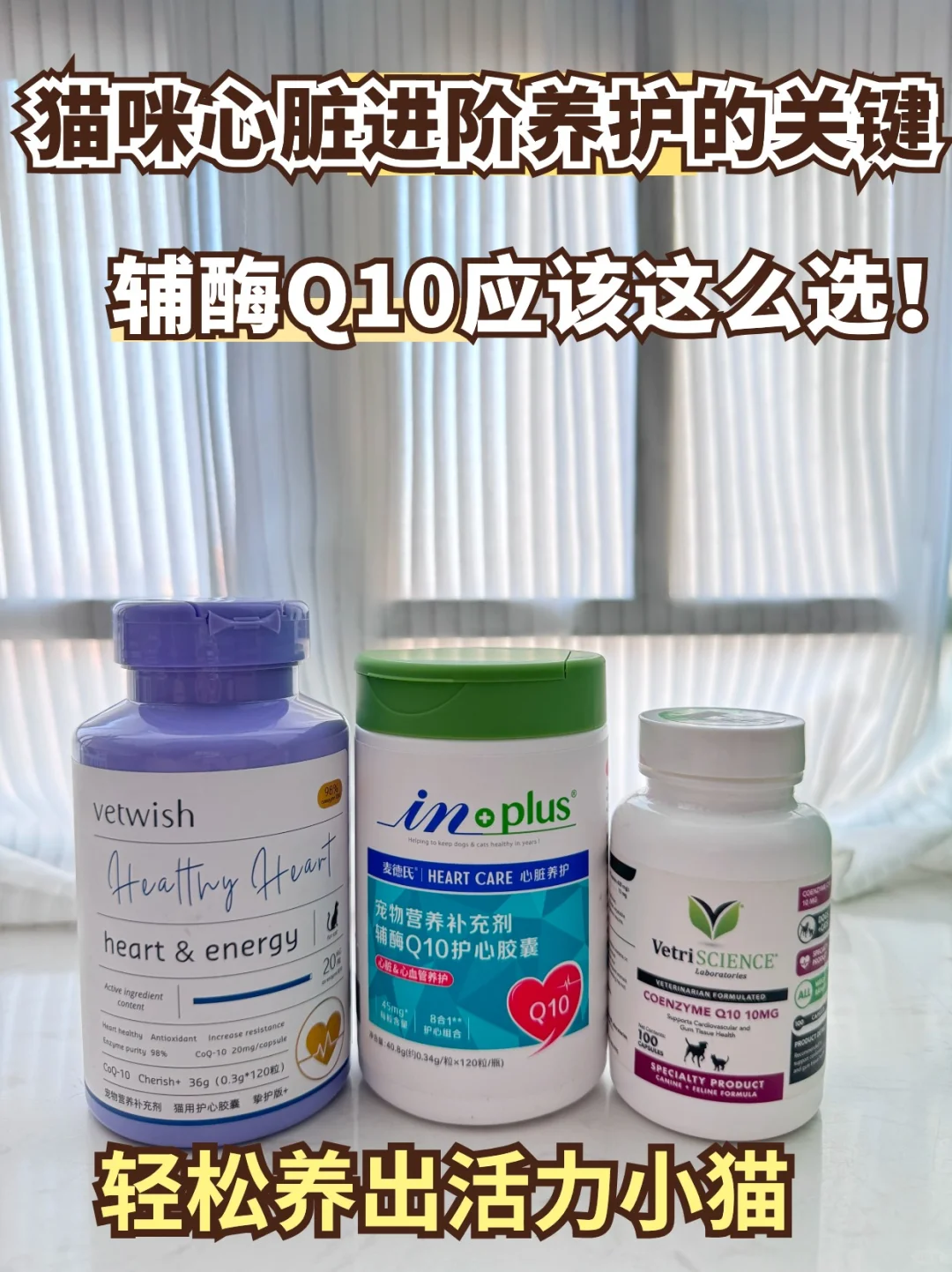 猫咪心肌肥厚该怎么选辅酶Q10？