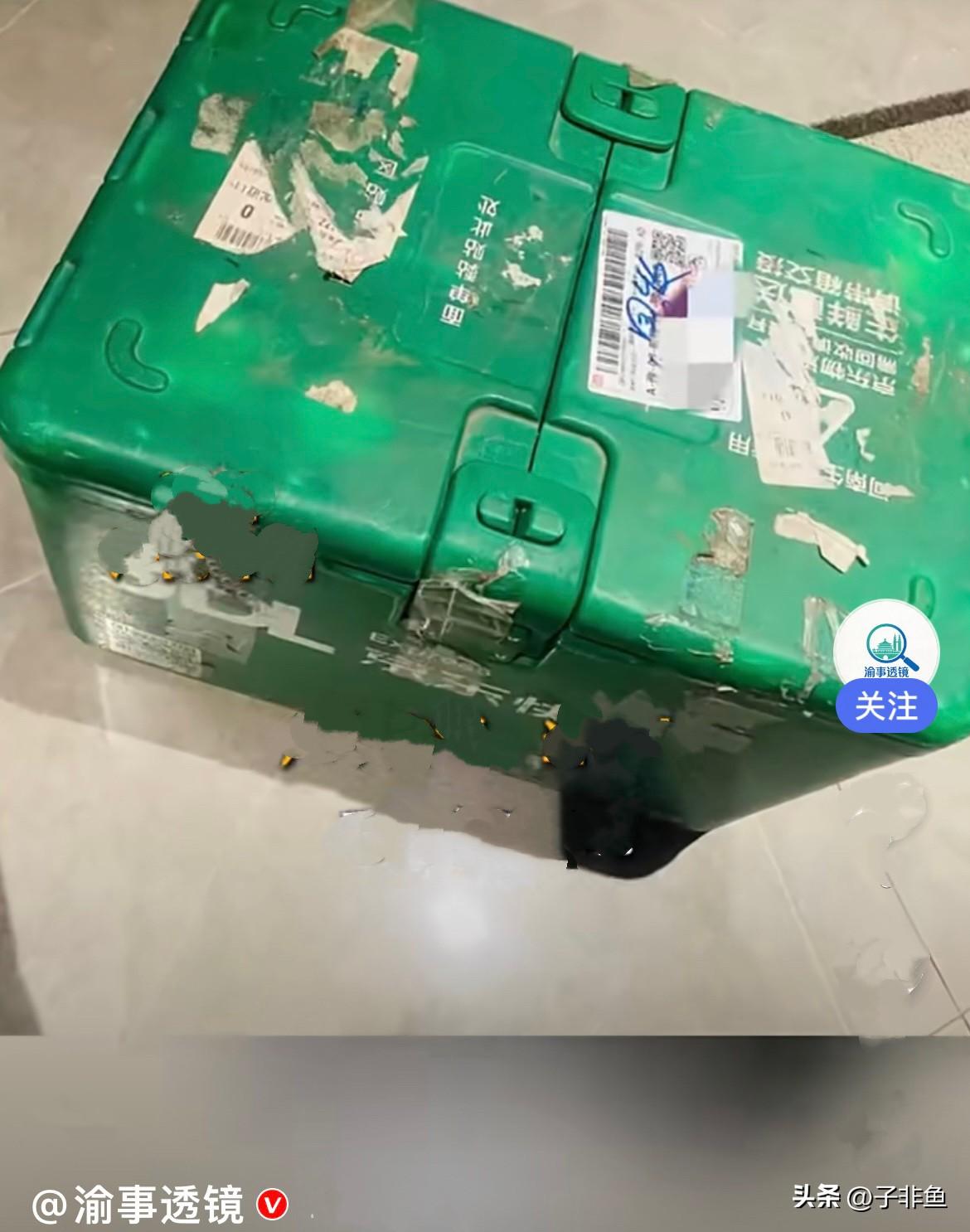 近日，河南周口一位女子傍晚回到家，刚走到门口就愣住了，自家门口整整齐齐放着一个绿