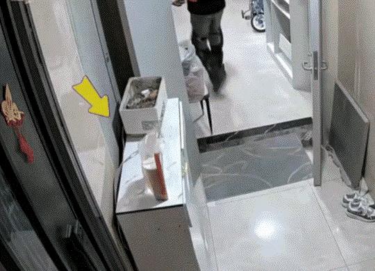 “这个女孩你火了！”16岁女孩点了一杯奶茶，外卖小哥送到后，将奶茶放在女孩家门口