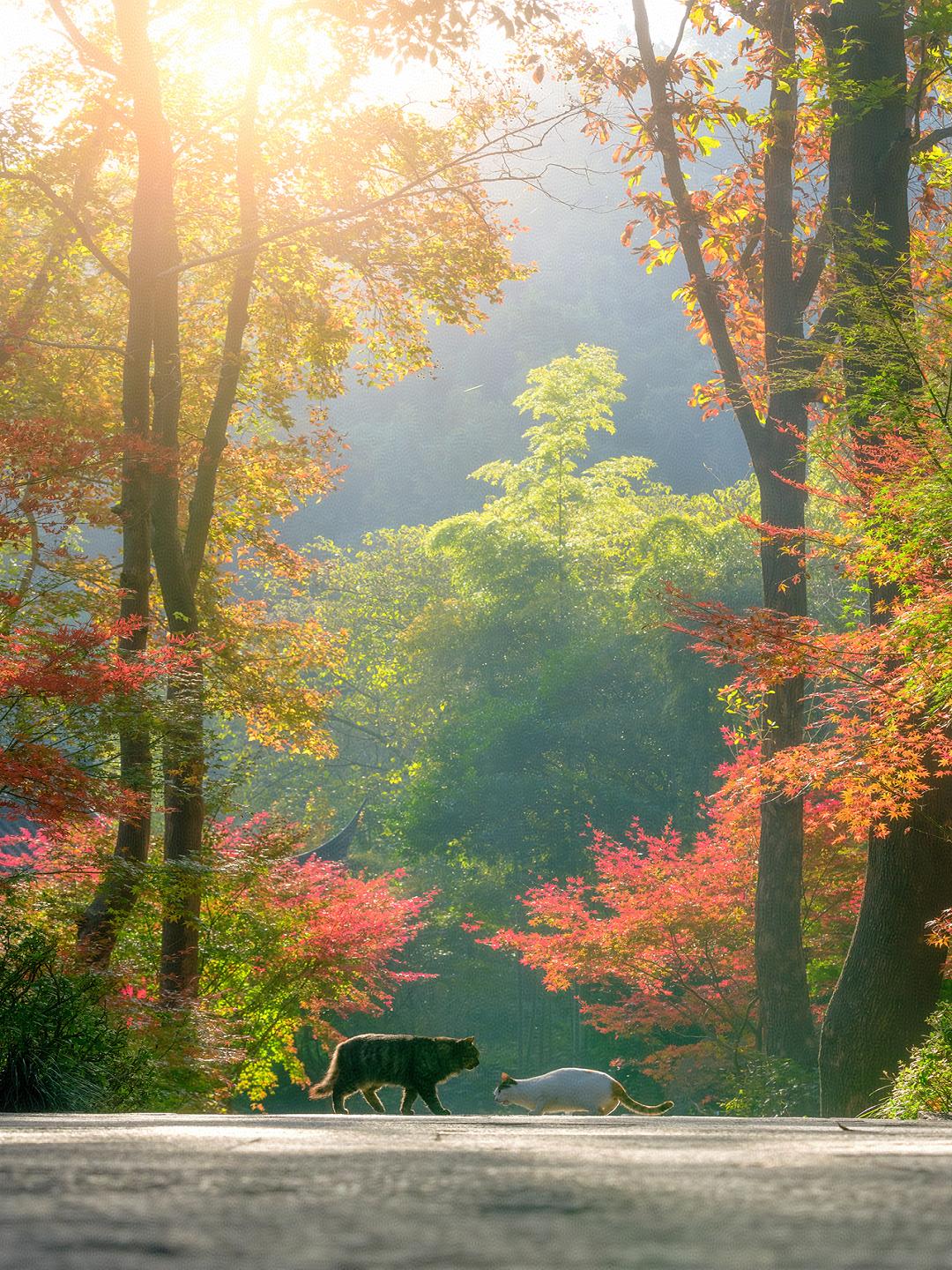 所有教育主管部门都应有这样的心态：只要老师行为不过分，就要第一时间保护老师。因为