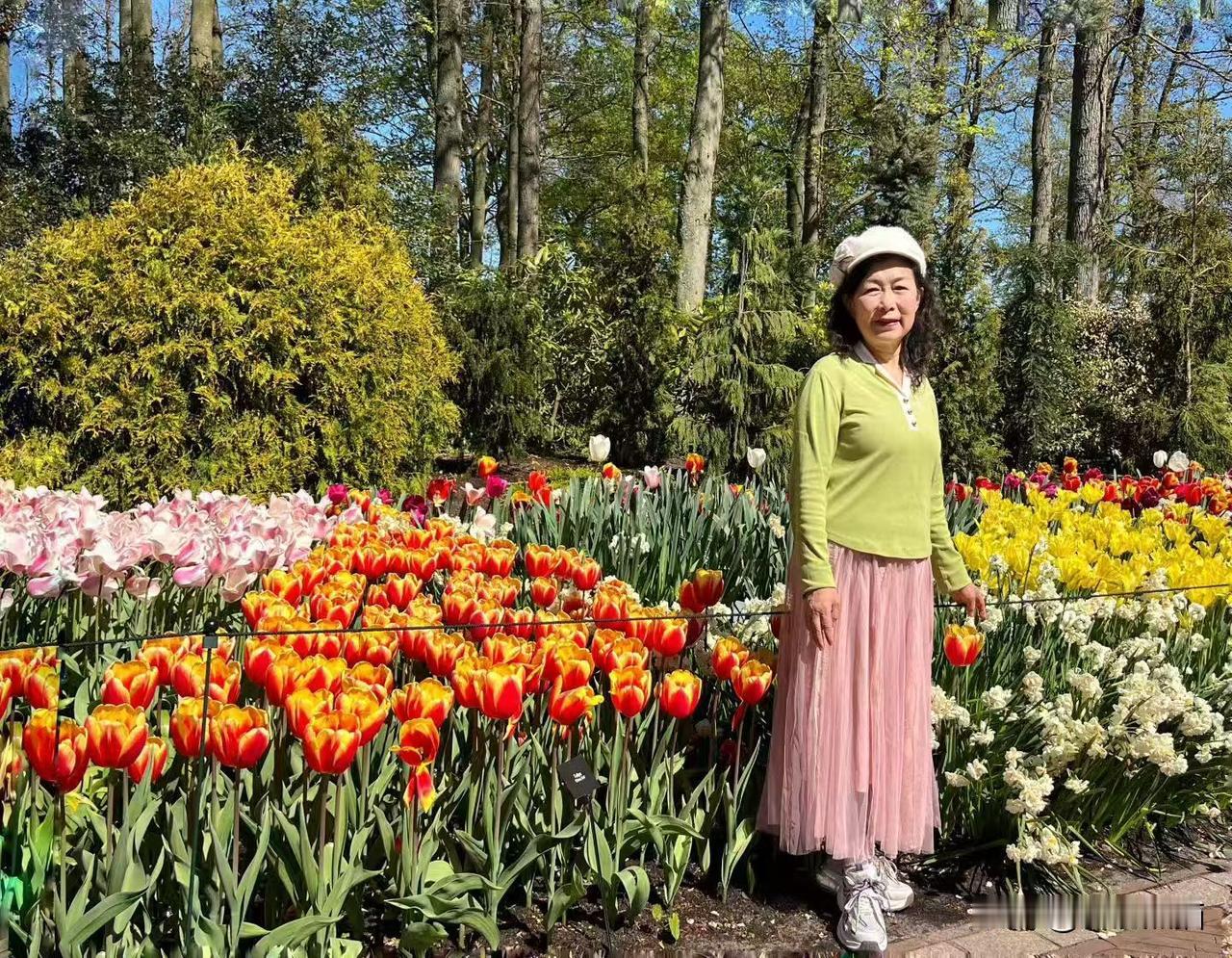 荷兰阿姆斯特丹库肯霍夫公园赏郁金香，定格美好瞬间，给自己留下美好的记忆。（202