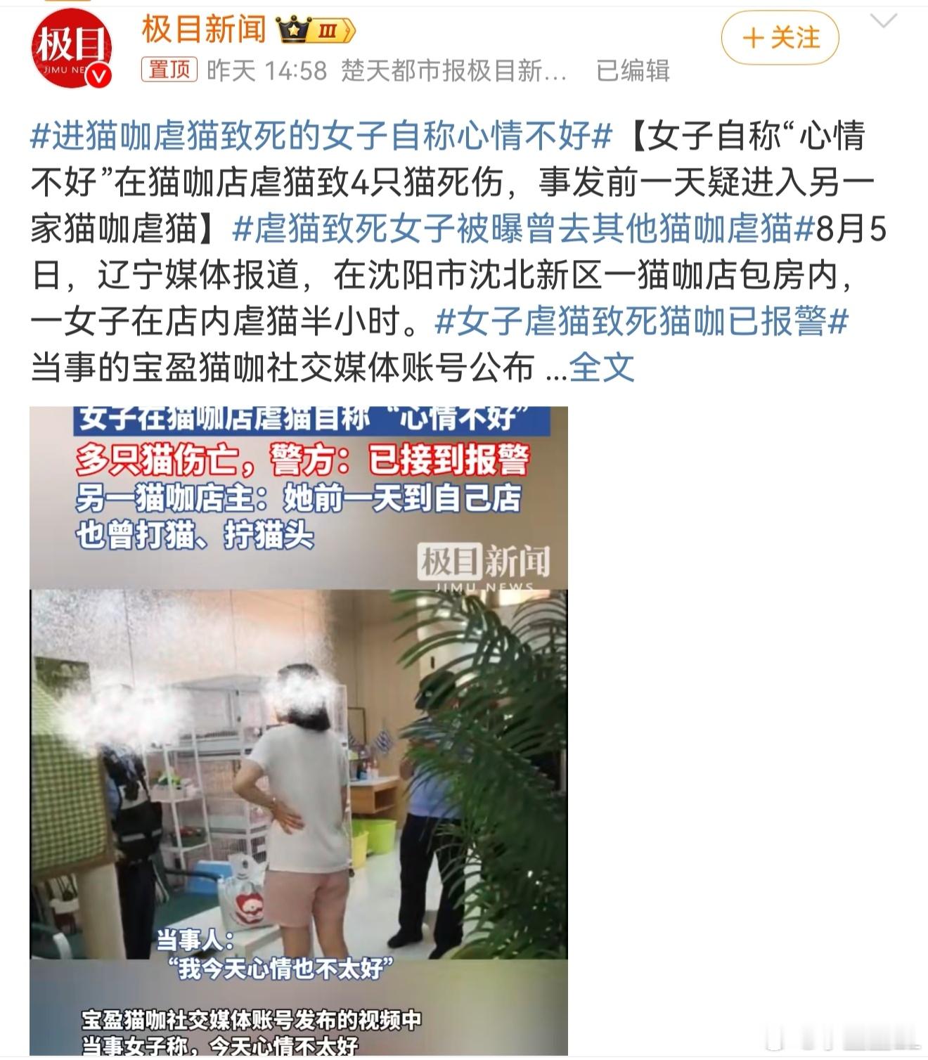 虐猫致死女子被曝曾去其他猫咖虐猫 女子虐猫致4死2伤是否违法心情不好了不起，就以