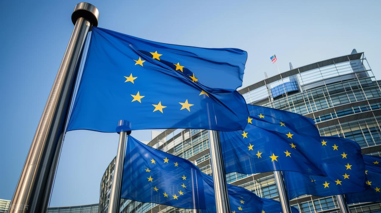 美媒：欧洲人并未就此问题被征询意见
美国《政治报》网站11月19日刊发深度调查报