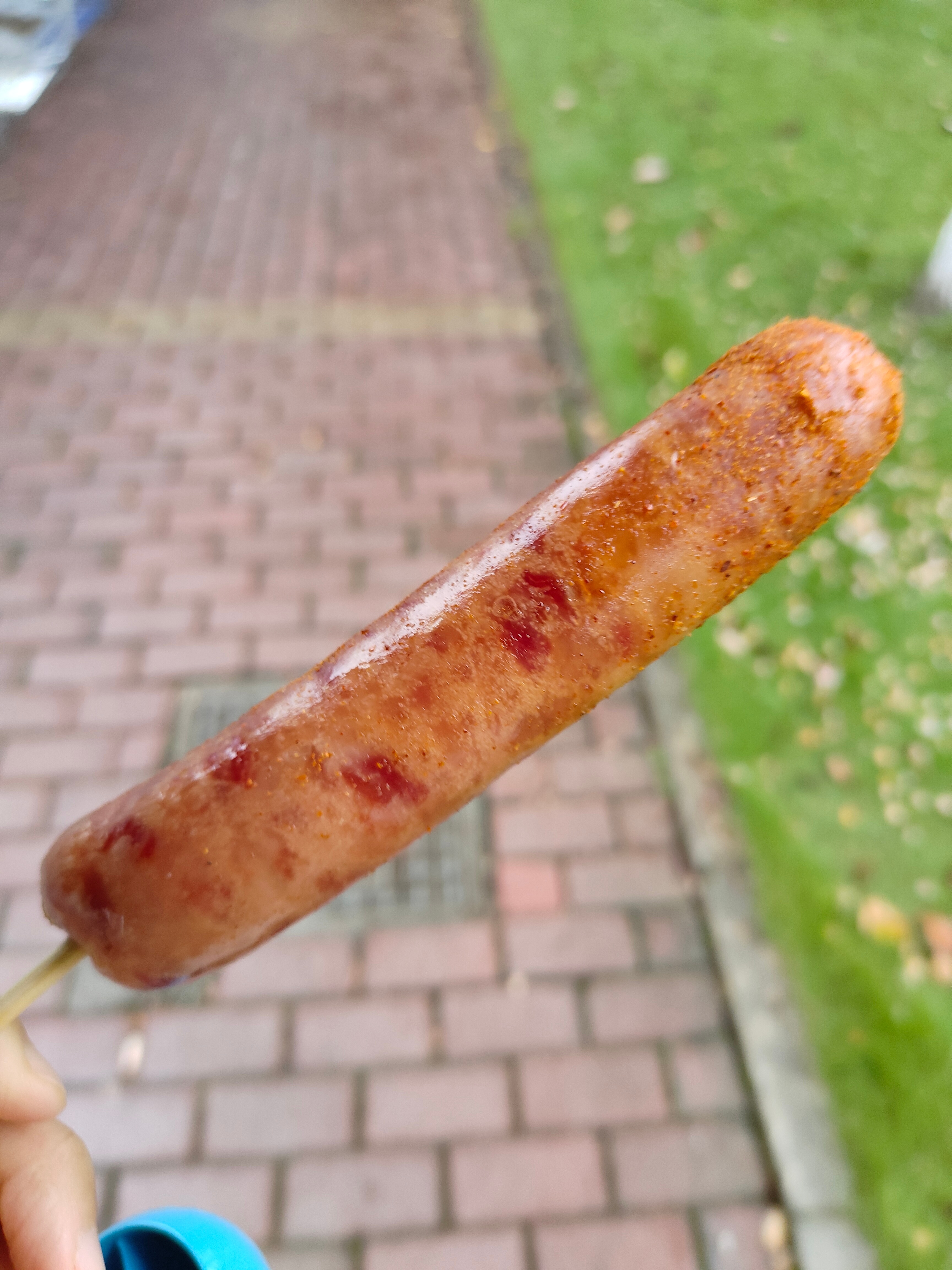 哈哈哈哈哈哈哈哈哈哈哈感觉这个烤肠抵洛洛哥两根（） ​​​