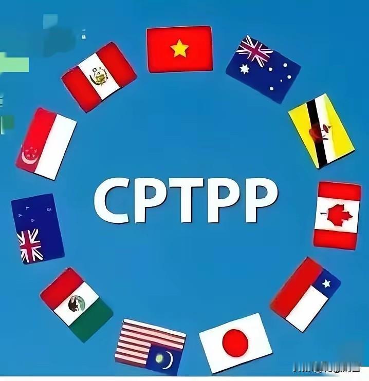 韩国这回是铁了心要进CPTPP，6月下旬就该官宣了。说白了就是想抱紧美日澳的大腿