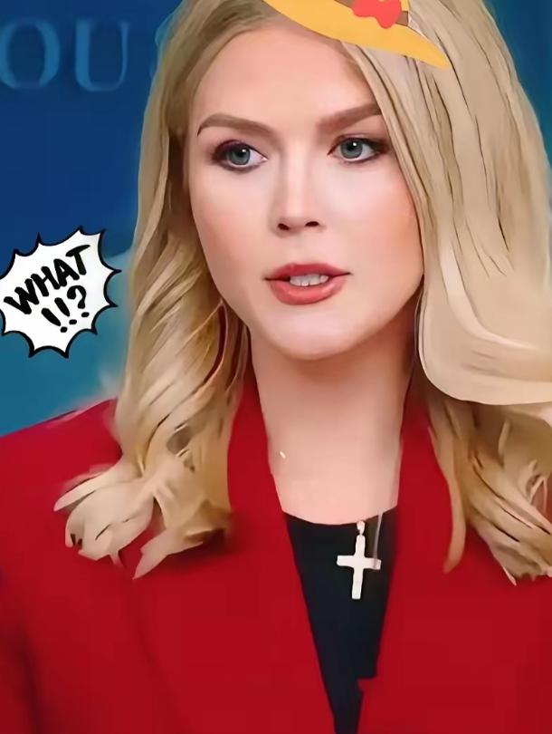 [微风]美国白宫宣布了
10月11日，一条来自美国白宫管理和预算办公室主任罗素·