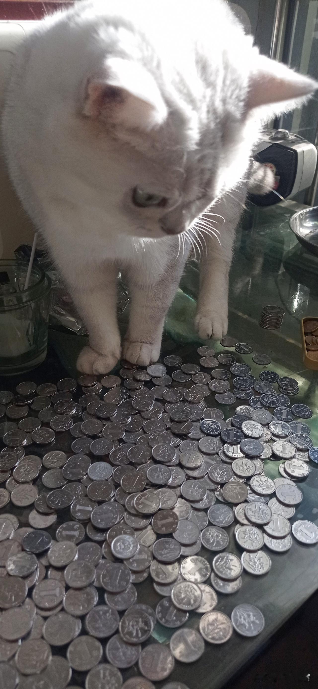 硕呀！非硕莫属呀！
硕鼠硕鼠，无食我黍！三岁贯女，莫我肯顾。逝将去女，适彼乐土。