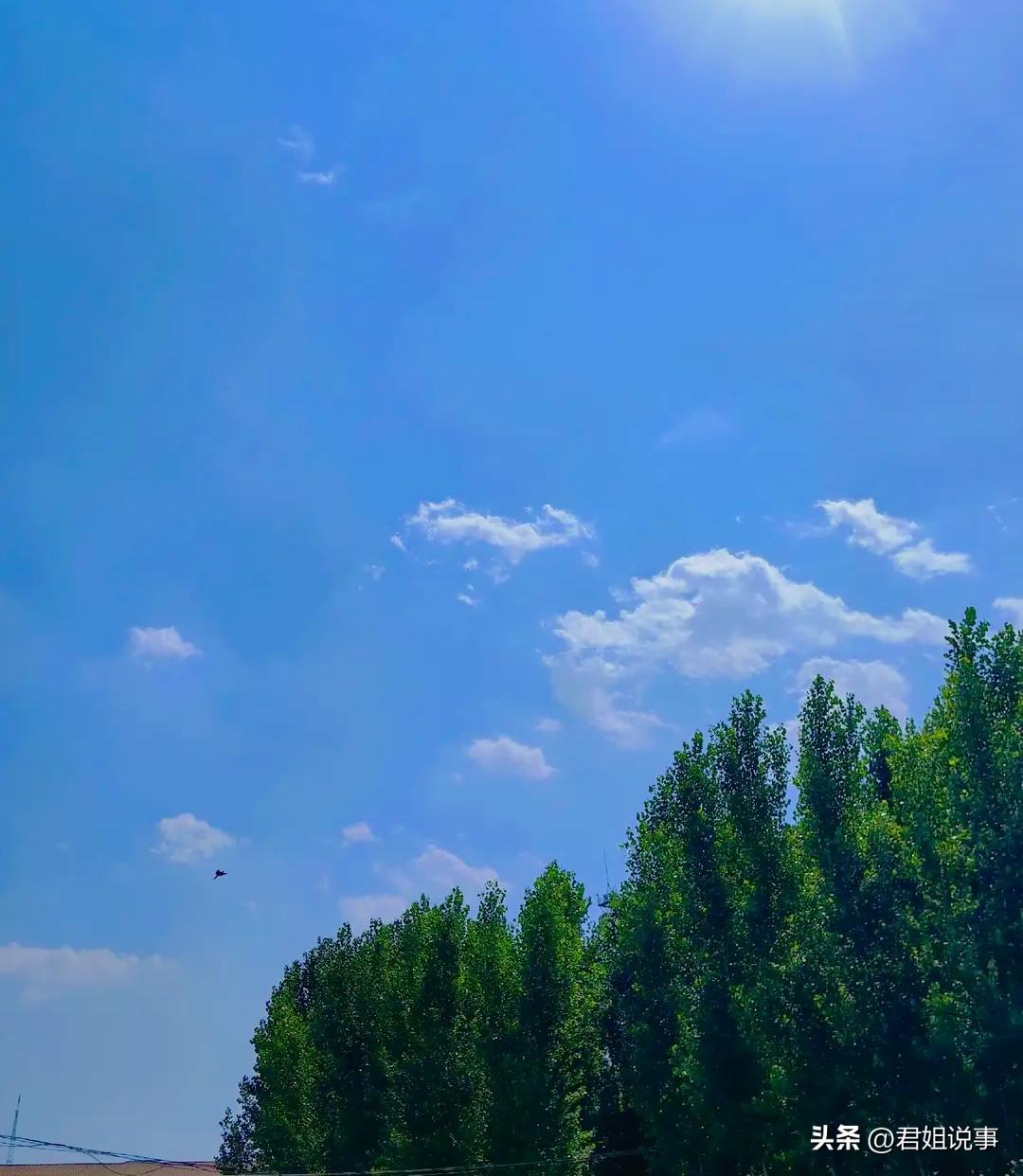 我发现一个问题
你在头条写的文章，没有多少流量的，你拿到其它平台发布，却意外的好