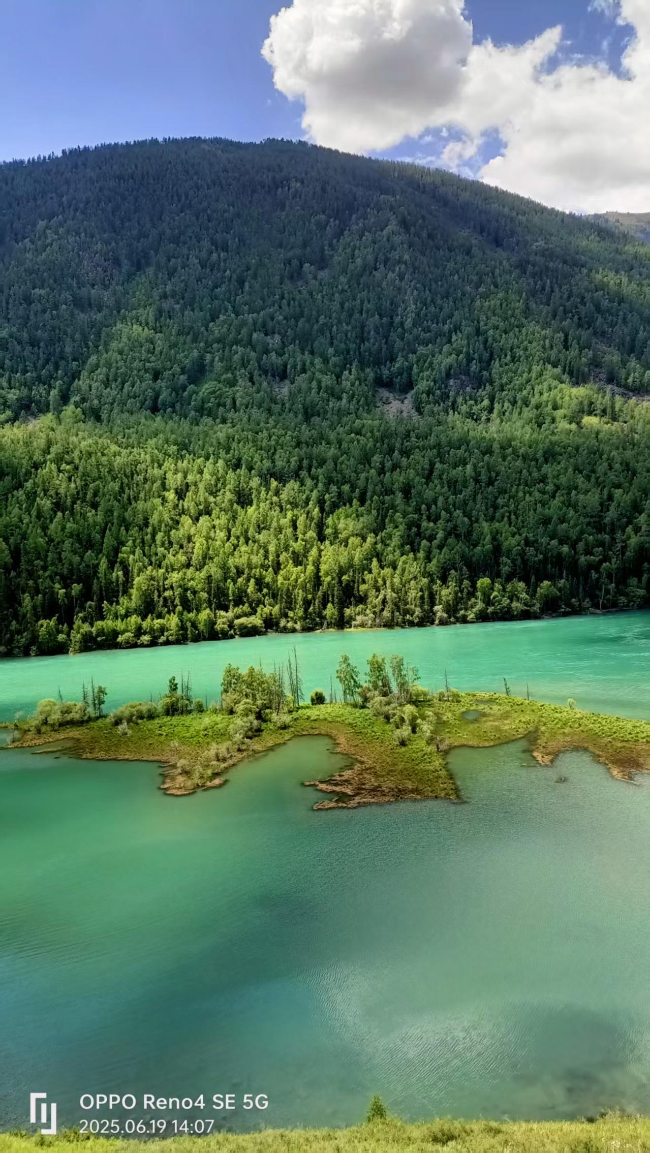 山中易见千年树，求下联我对的下联是，林下难寻四月花。