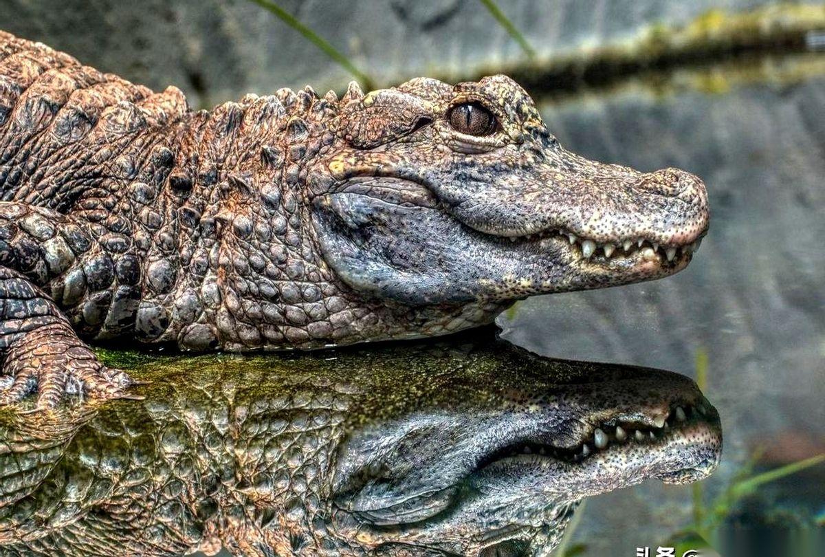 办公室里，最忙的人，和最闲的人，都在看同一张K线图。
新来的小王，鼠标点得像缝纫