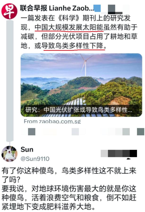 新加坡媒体批评中国新能源，称这会导致鸟类消失，却遭到中方网友神回复！

新加坡《