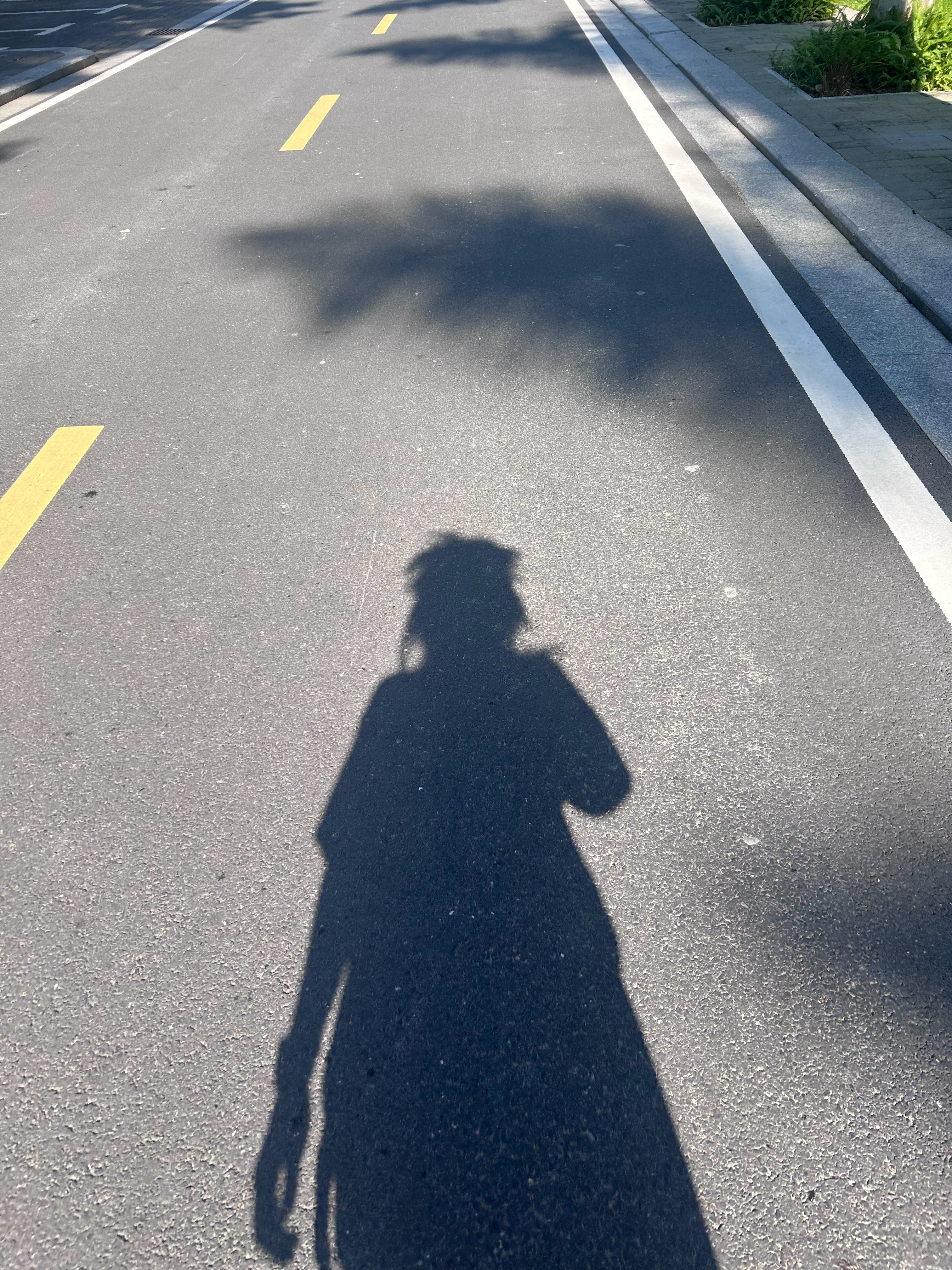 我炸毛了 