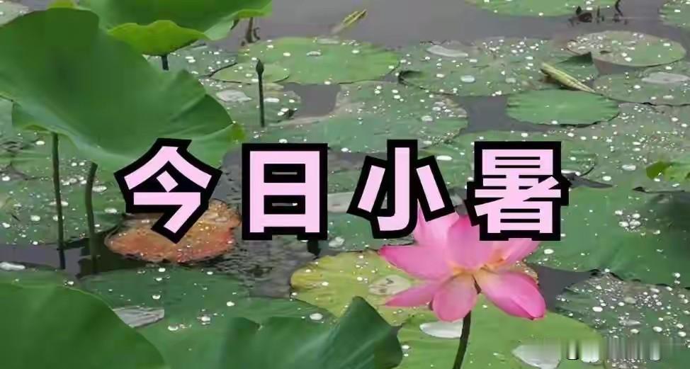 7月7小暑不一般，提醒大家，吃1肉，喝1汤，做2事，60年难遇！
 
今年7月7