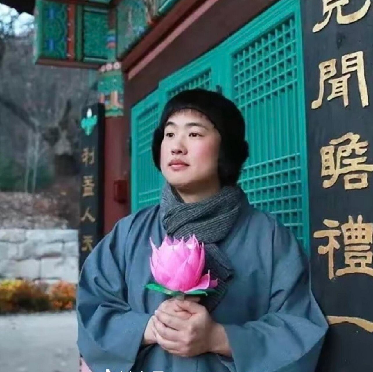 2025～2026年度，应该是四字粉最忙碌的一个年度了，很有可能出现昨天夸《小小