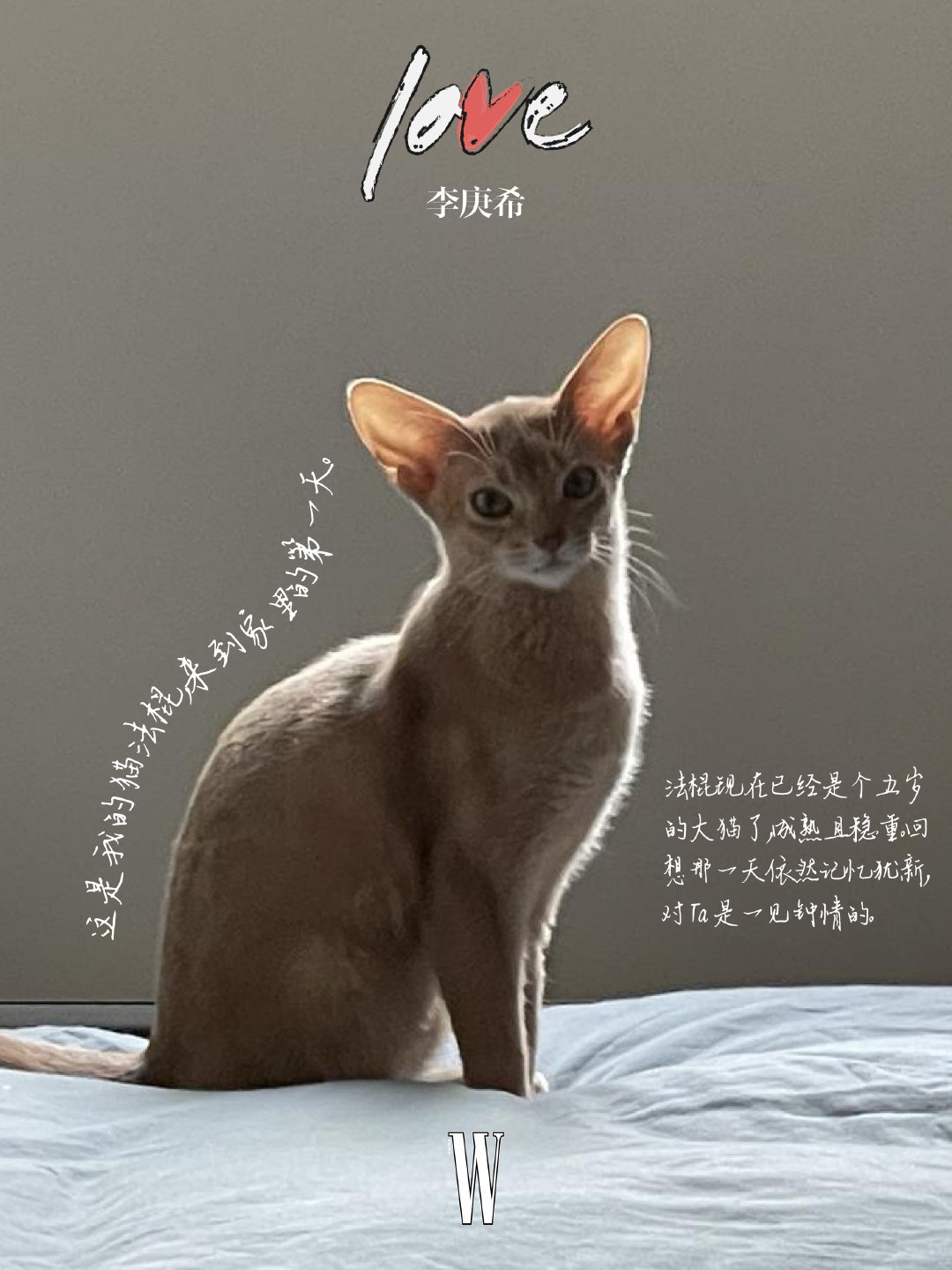 《W中文版》“爱的瞬间”主题策划陈昊宇、代旭、龚俊、李庚希、林允、刘嘉玲、米卡、