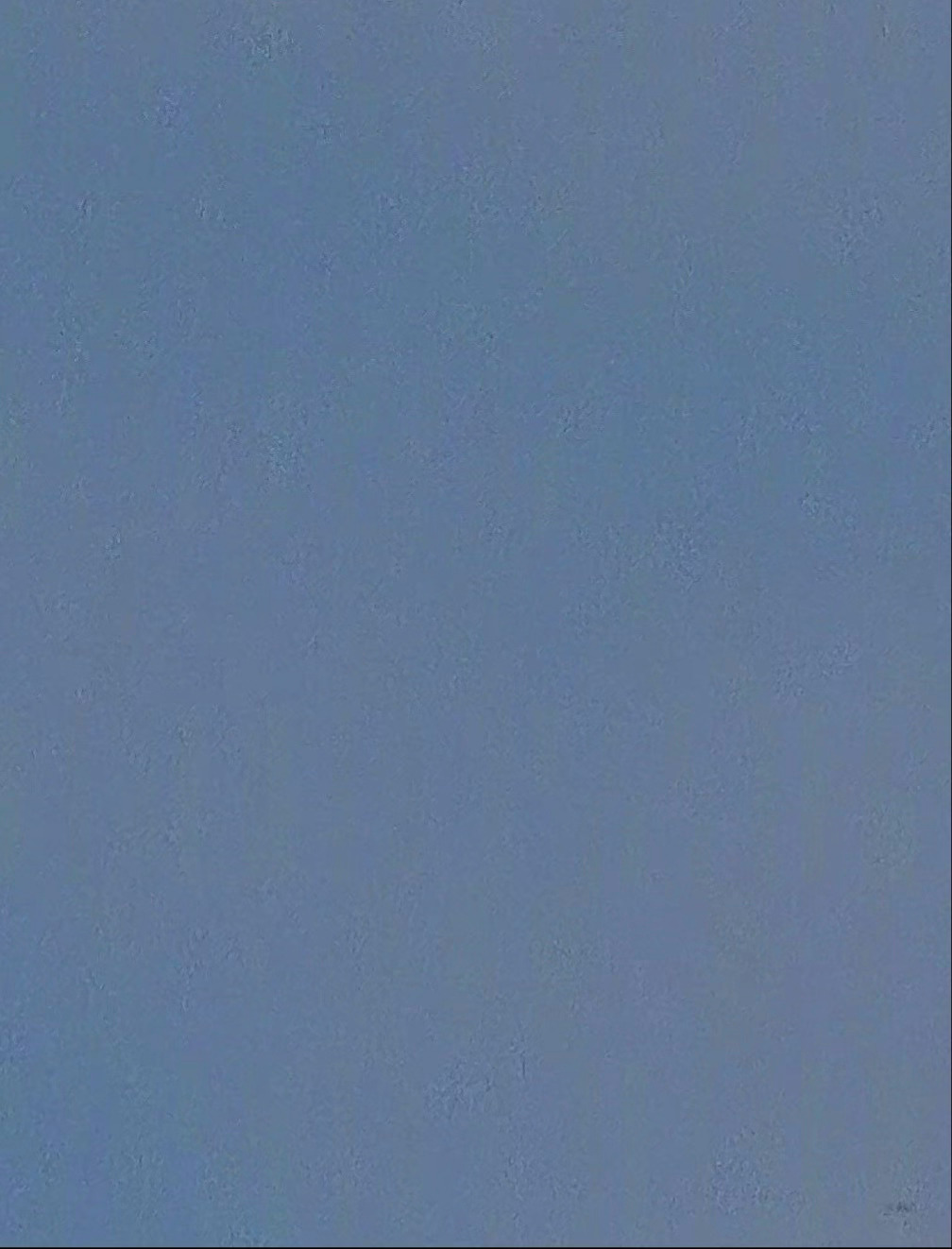 mitotic apparatus (有丝分裂器) 即纺锤体(spindle)，
