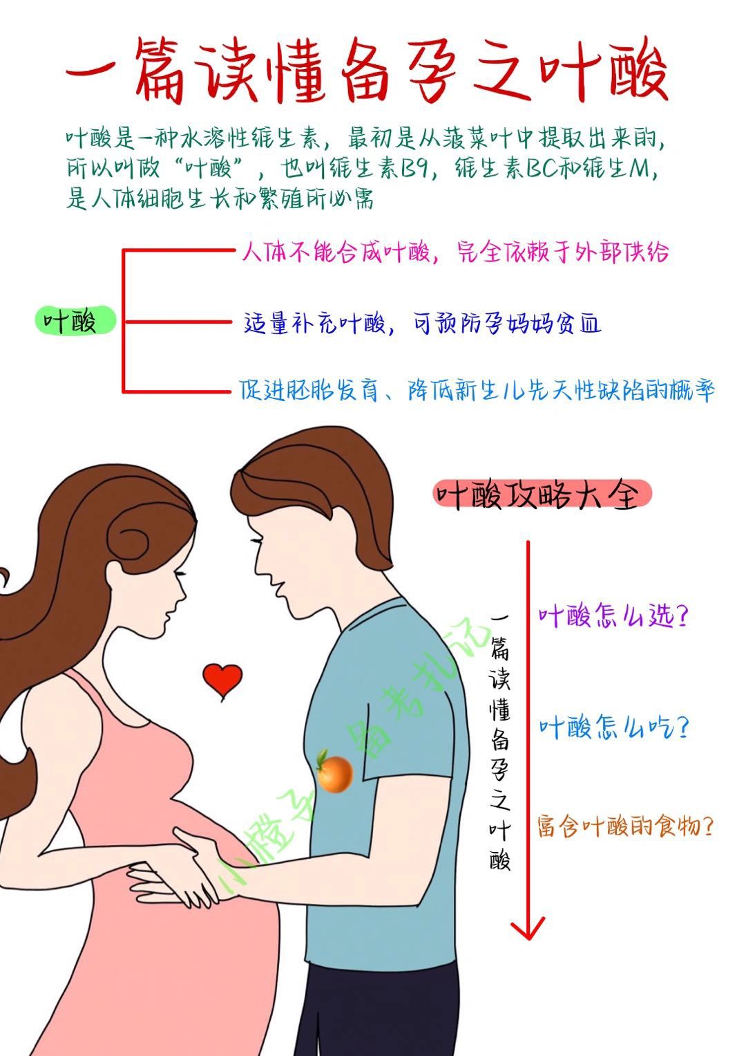 准妈妈进✅叶酸的正确打开方式‼️