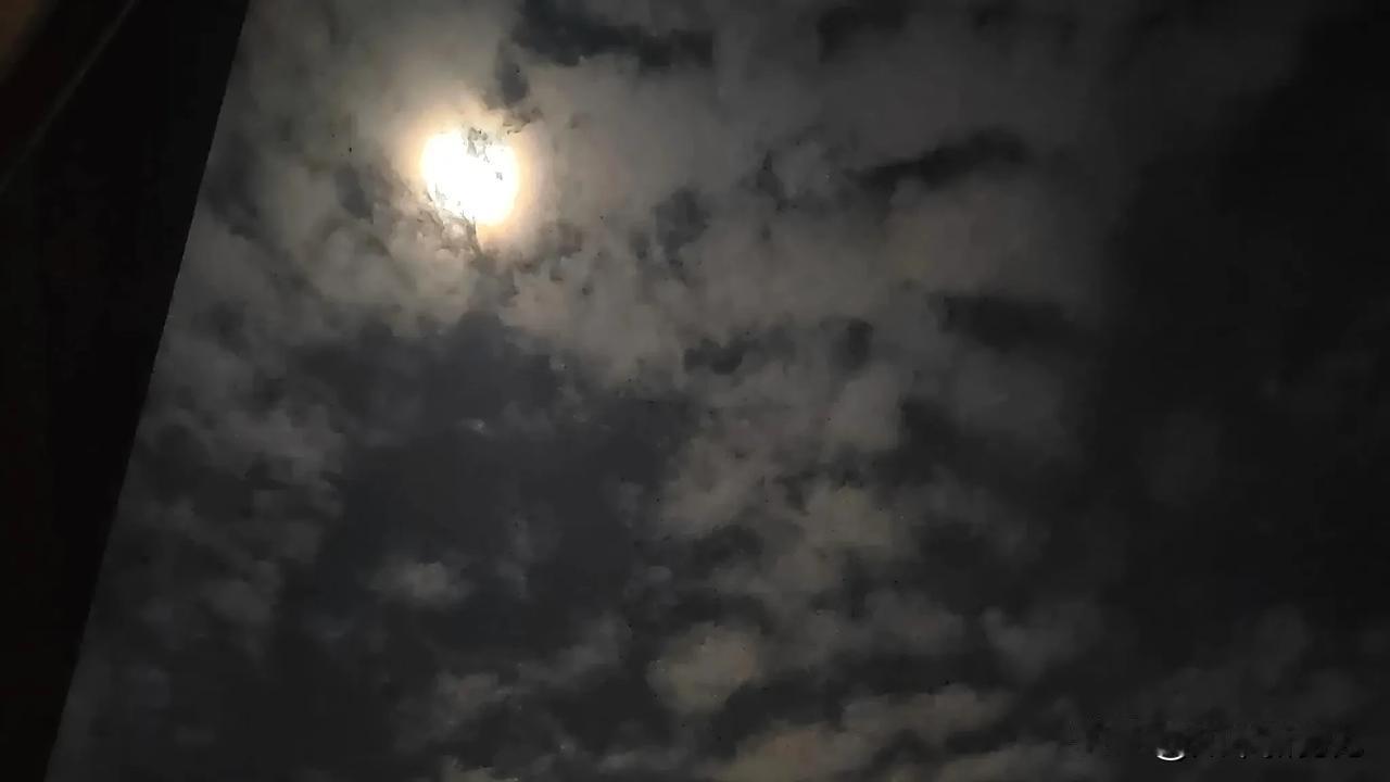 月亮不会发光，但会照亮你前行的路#朝着月亮的方向# #月亮总会生起# #通向月亮