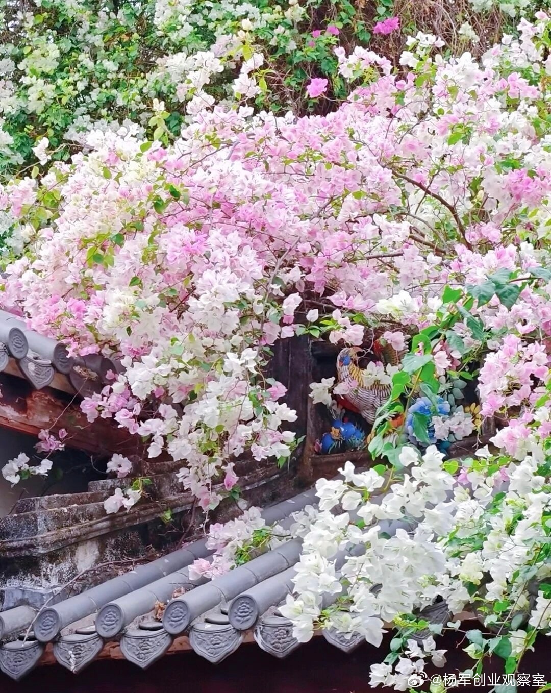 投资人评价创始人的赛道“风口过了”，很受打击。我说：你用谁的逻辑在经营公司？1.