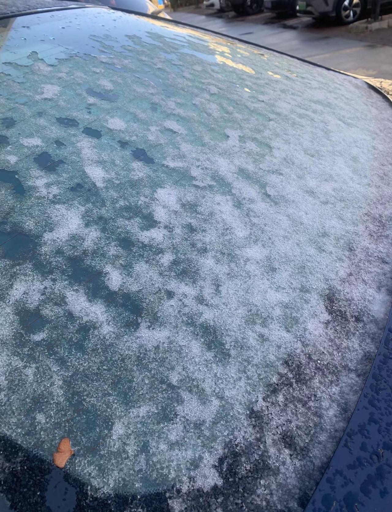 南方已经春暖花开。我在河北还穿着羽绒服。昨天晚上还雨夹雪🙂