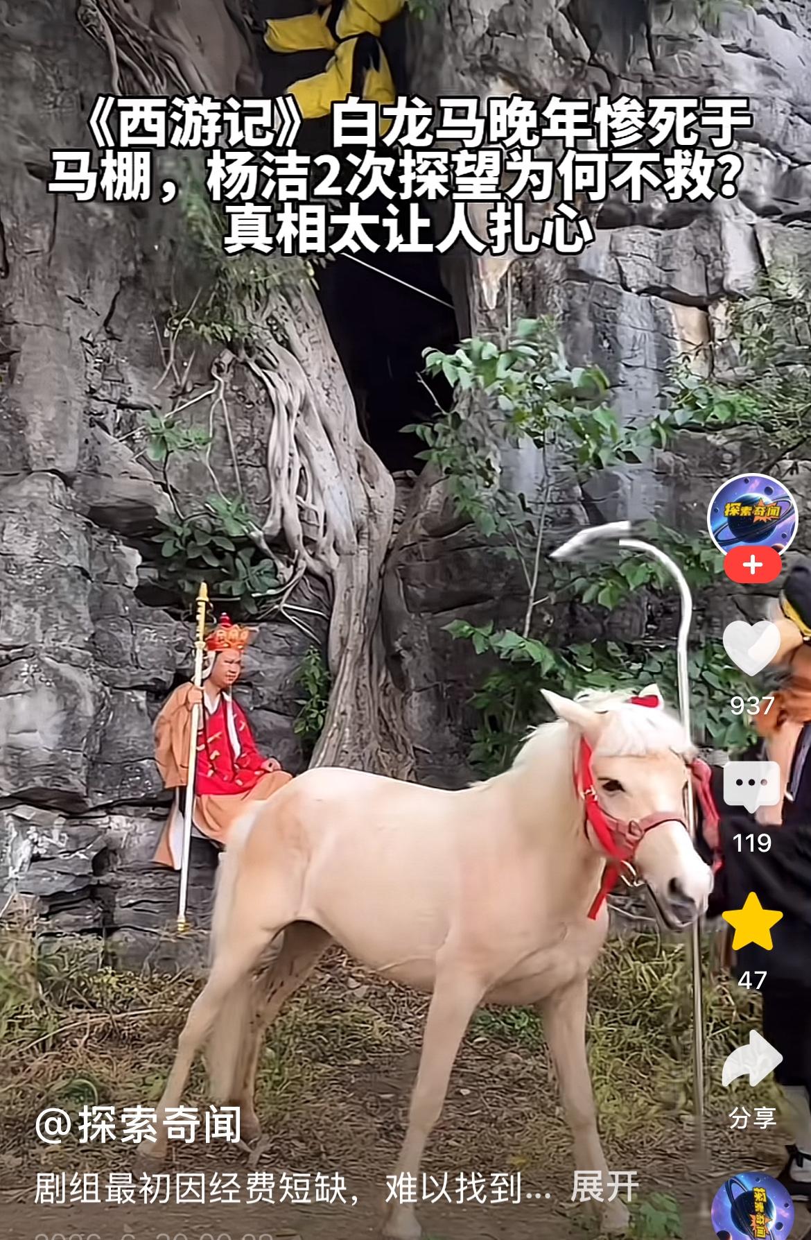 标题 
剧组最初因经费短缺，难以找到符合要求的白马，曾用棕马刷白漆临时替代，但遇