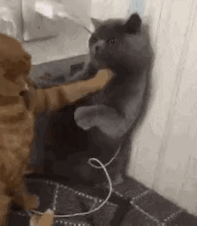 1:毫无疑问，战斗力不是一个级别的存在。