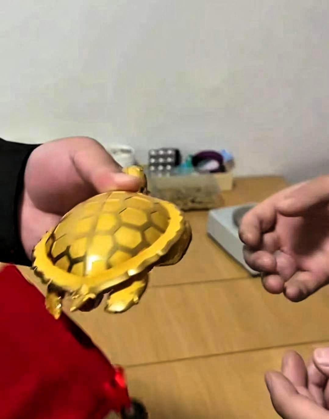 福州的王先生过六十大寿时，三个女婿合伙送了一只375克重的金钱龟，后来家里遇到现